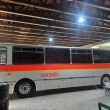 Hasii Polepy